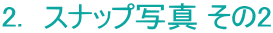 2.@Xibvʐ^ 2