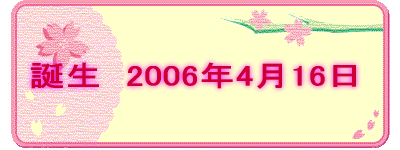 a@2006N416