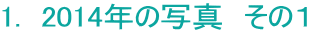 1.@2014N̎ʐ^@̂P