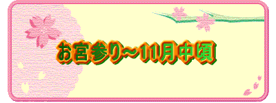 {Q`11 