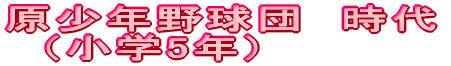 N싅c@